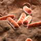 Imagen para el artículo titulado Estas bacterias modificadas podrían hacer innecesario tomar vitaminas